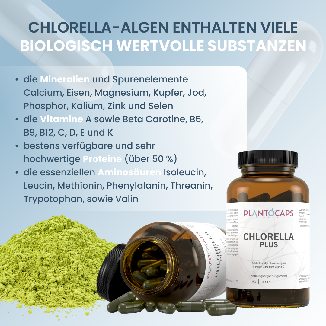 CHLORELLA PLUS Kapseln