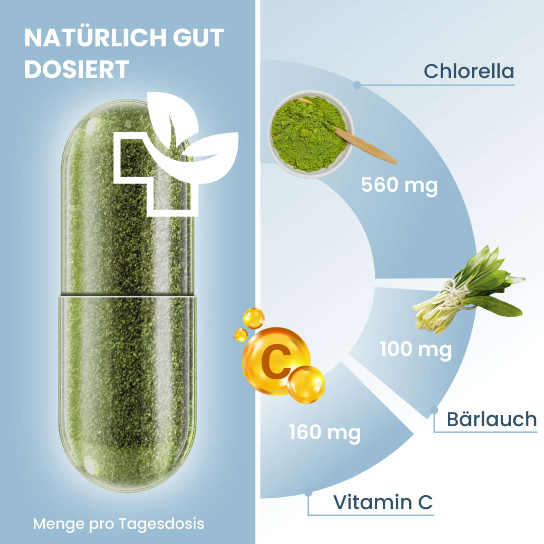 CHLORELLA PLUS Kapseln