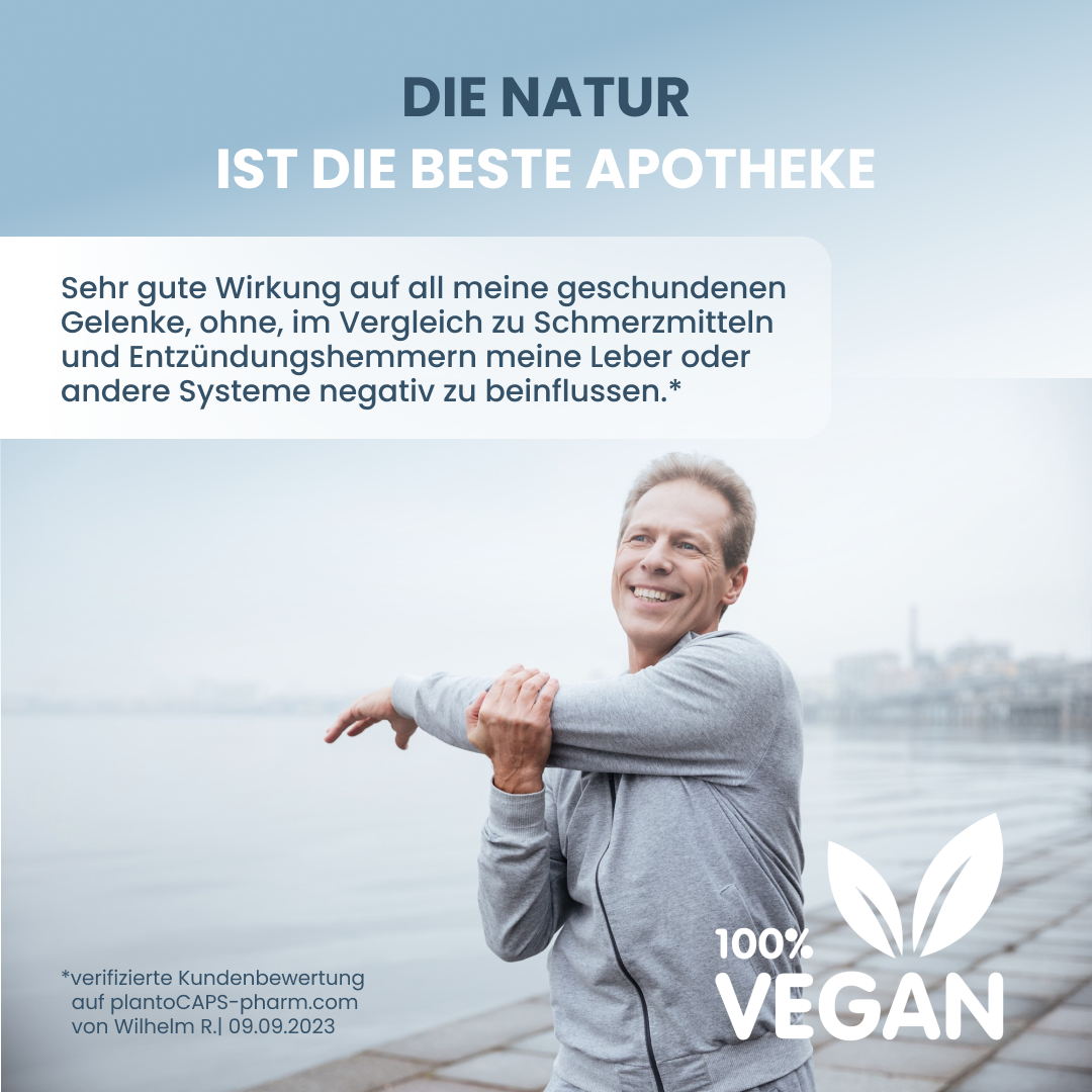 WEIHRAUCH BOSWELLIA | PLUS Kapseln