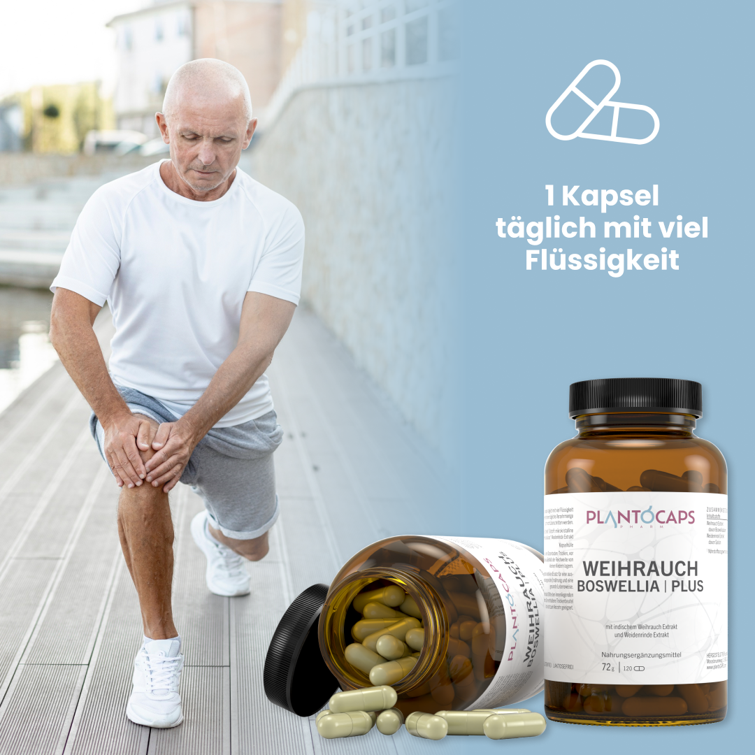 WEIHRAUCH BOSWELLIA | PLUS Kapseln
