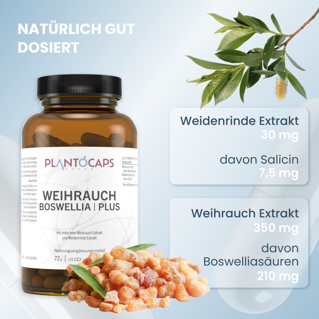WEIHRAUCH BOSWELLIA | PLUS Kapseln