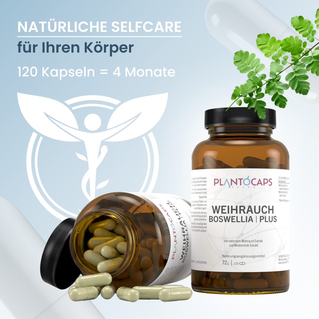 WEIHRAUCH BOSWELLIA | PLUS Kapseln
