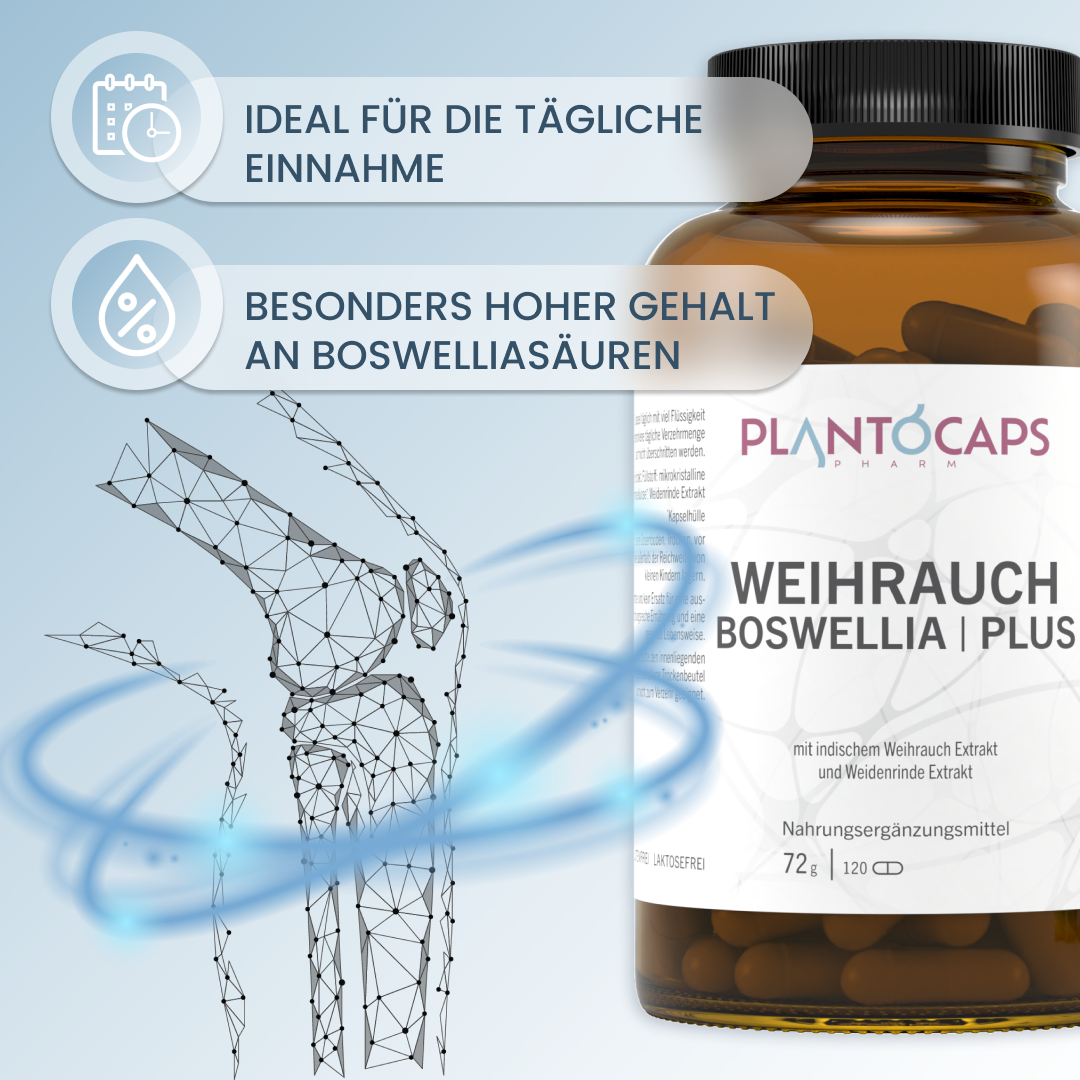 WEIHRAUCH BOSWELLIA | PLUS Kapseln