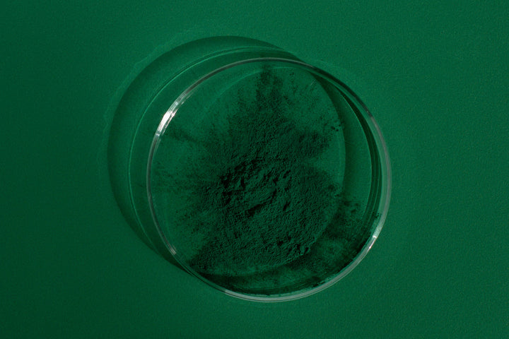 Chlorella Pulver in einem Schauglas auf einem grünen Hintergrund