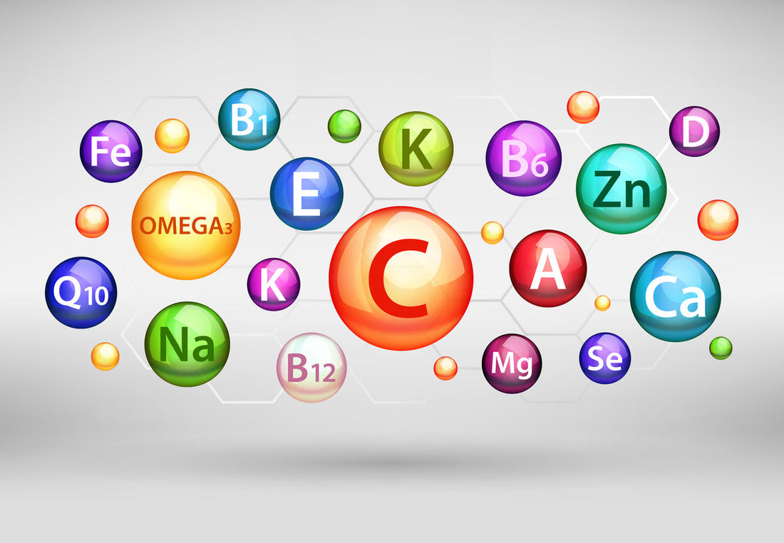 Grafik mit Vitamin und Mineralien Bezeichungen