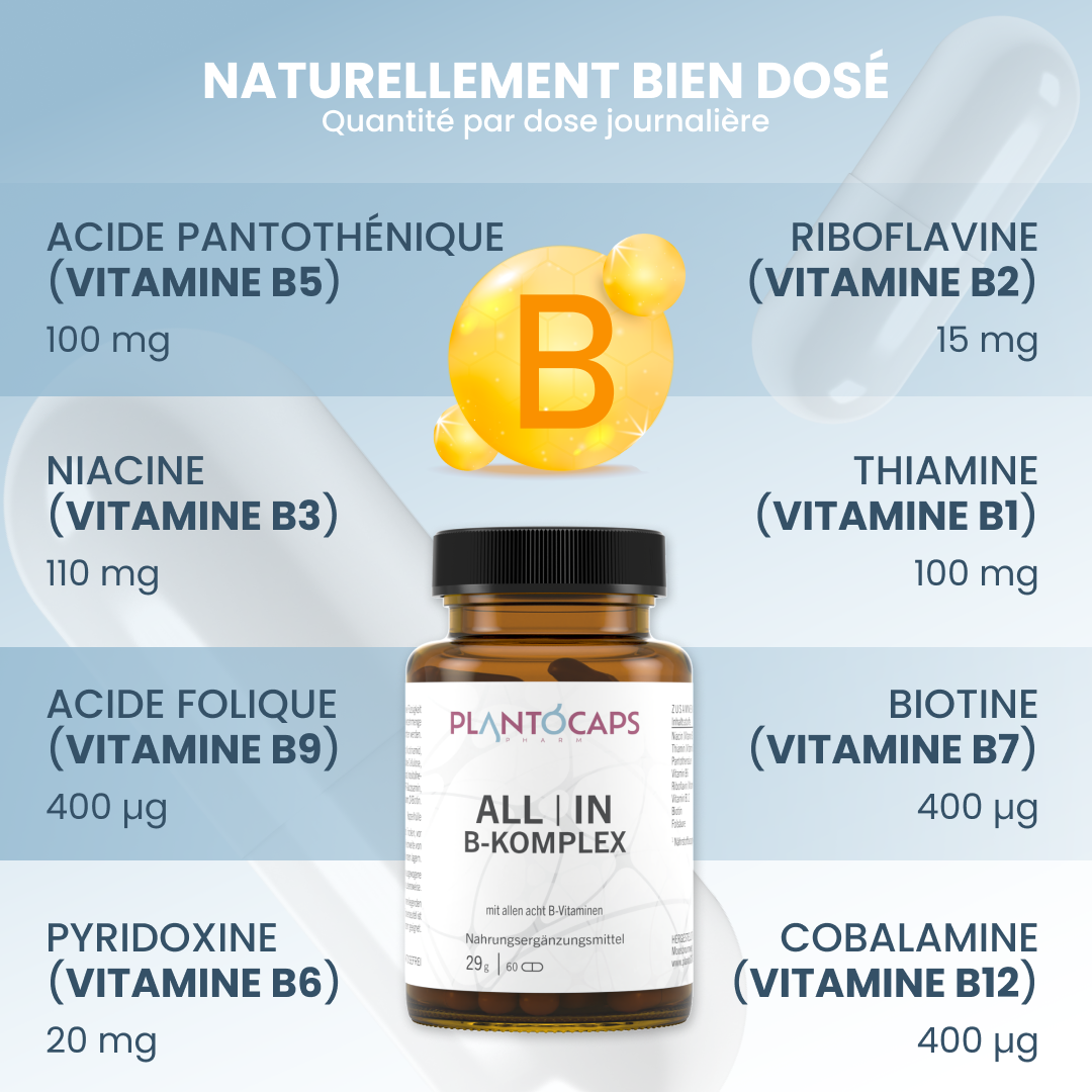 plantoCAPS ALL IN B-KOMPLEX Capsules 60 pcs - Ingredients