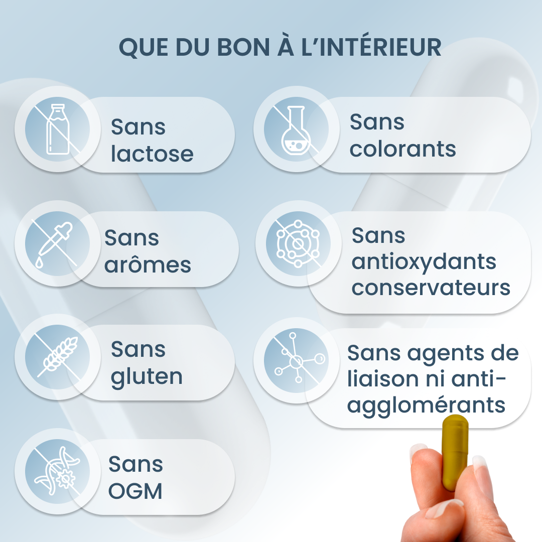 plantoCAPS ALL IN B-KOMPLEX Capsules 60 pcs - What's Inside