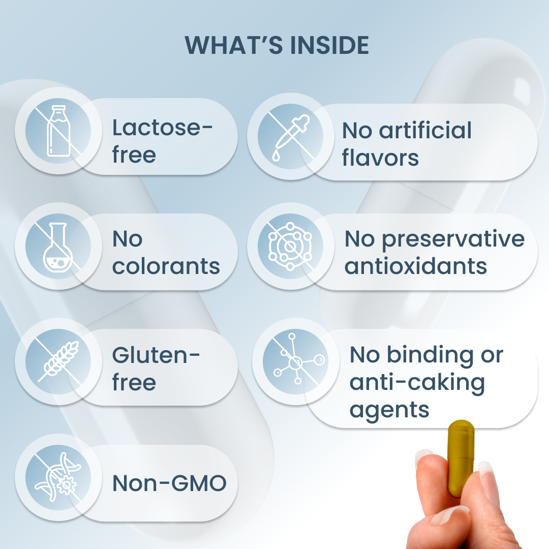 plantoCAPS ALL IN B-KOMPLEX Capsules 60 pcs - What's Inside