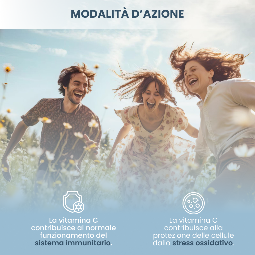 plantoCAPS ALLEOVITE IMMUN Capsules 60 pcs - How It Works