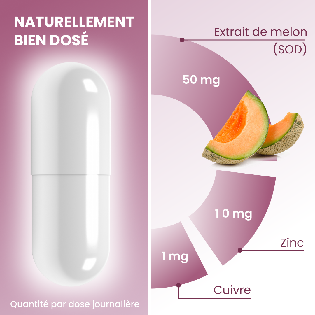 plantoCAPS CELLUVITE PLUS Capsules 60 pcs - Ingredients