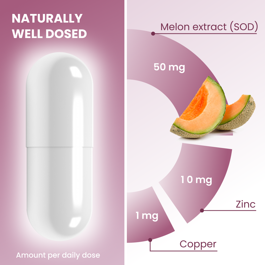 plantoCAPS CELLUVITE PLUS Capsules 60 pcs - Ingredients