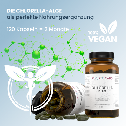 CHLORELLA PLUS Kapseln