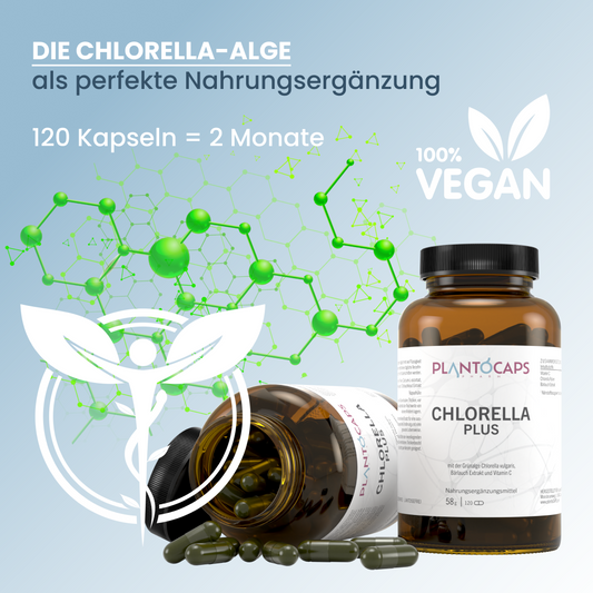 CHLORELLA PLUS Kapseln