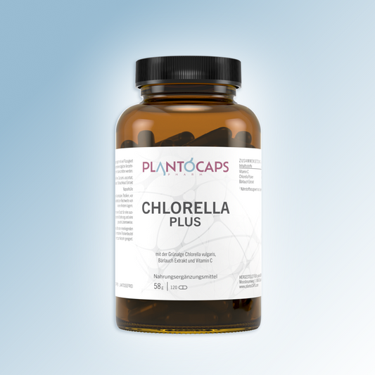 CHLORELLA PLUS Kapseln