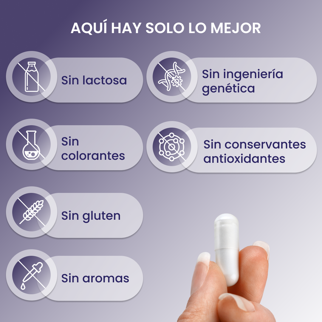 plantoCAPS COITOSAN Capsules 60 pcs - What's Inside