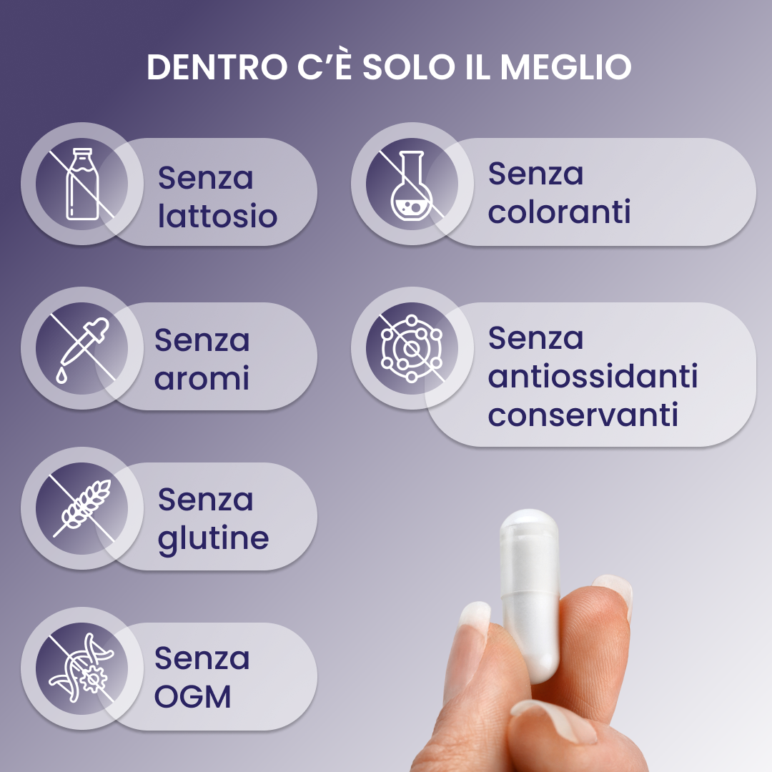 plantoCAPS COITOSAN Capsules 60 pcs - What's Inside