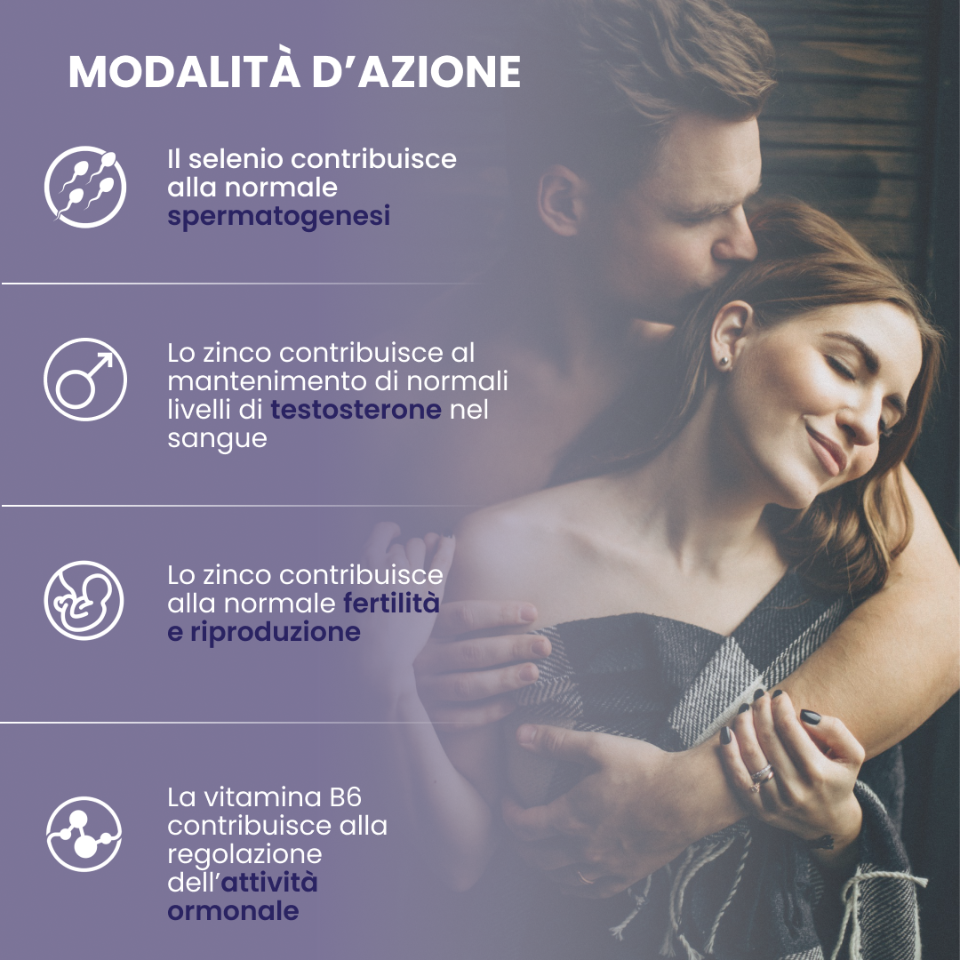 plantoCAPS COITOSAN Capsules 60 pcs - How It Works