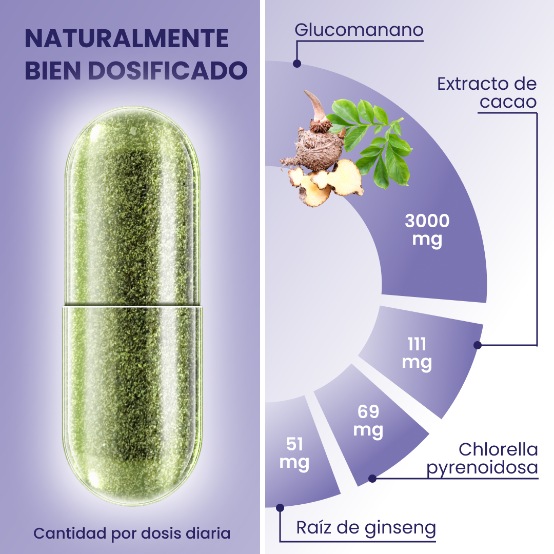 plantoCAPS Abnehmkapseln ENDLICH ABNEHMEN Capsules 60 pcs - Ingredients