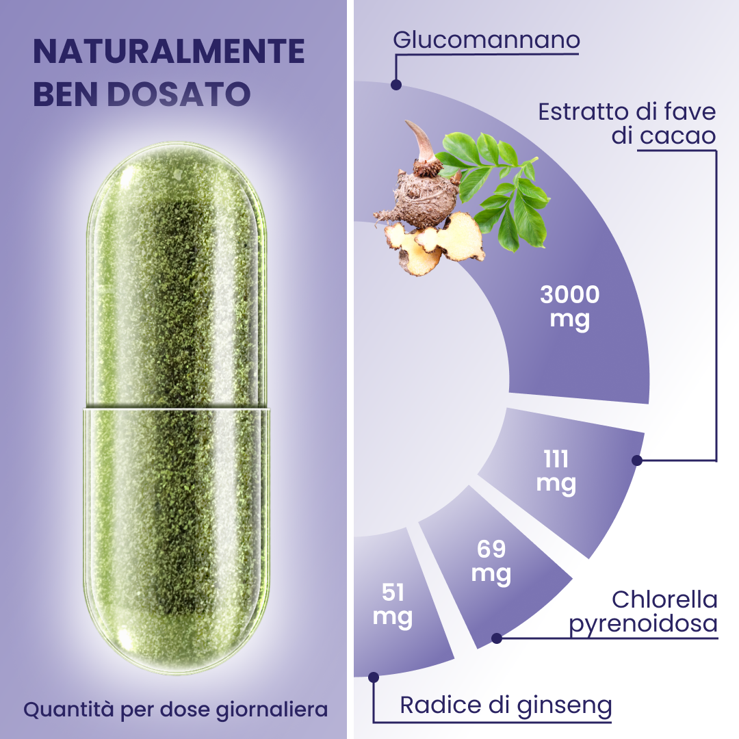plantoCAPS Abnehmkapseln ENDLICH ABNEHMEN Capsules 60 pcs - Ingredients