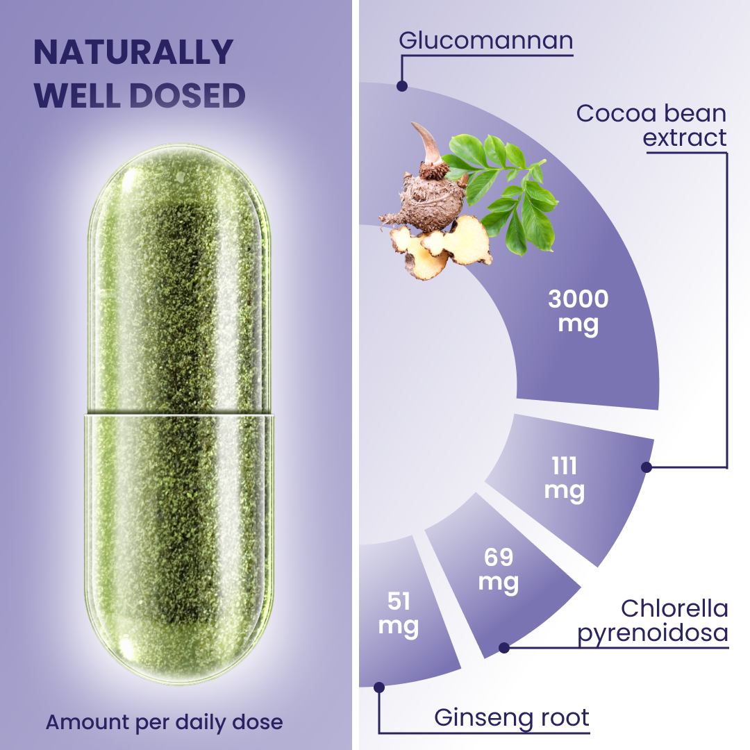 plantoCAPS Abnehmkapseln ENDLICH ABNEHMEN Capsules 60 pcs - Ingredients