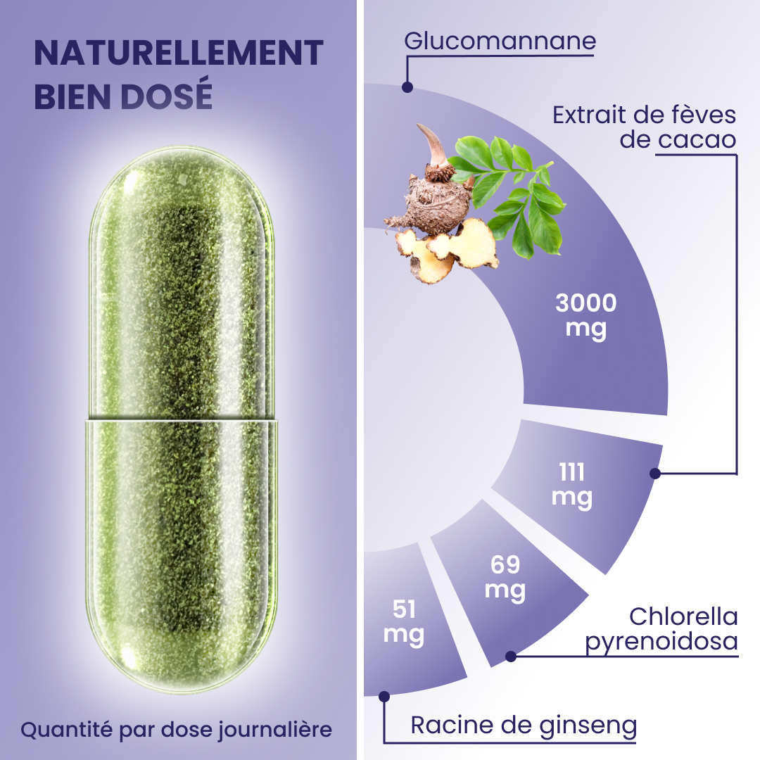 plantoCAPS Abnehmkapseln ENDLICH ABNEHMEN Capsules 60 pcs - Ingredients
