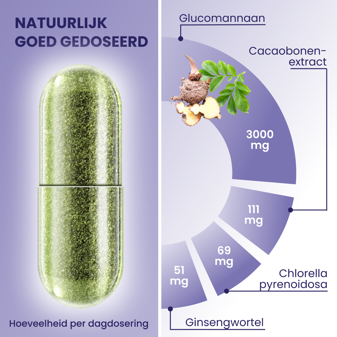 plantoCAPS Abnehmkapseln ENDLICH ABNEHMEN Capsules 60 pcs - Ingredients