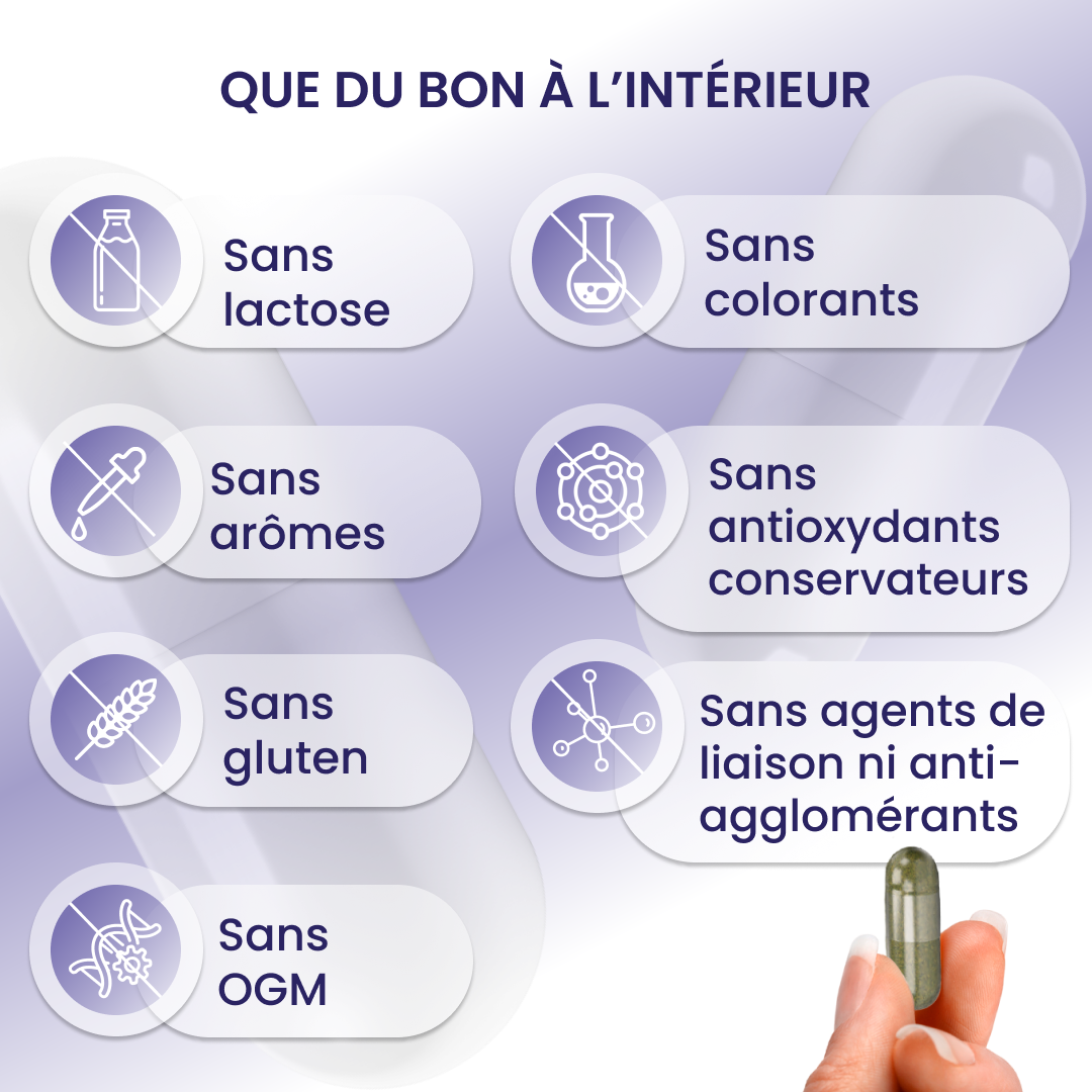 plantoCAPS ENDLICH ABNEHMEN Capsules 60 pcs - Interieur