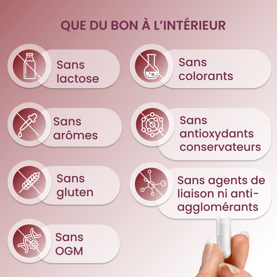 plantoCAPS GLUCO 3.0 Abnehmkapseln Capsules 60 pcs - What's Inside