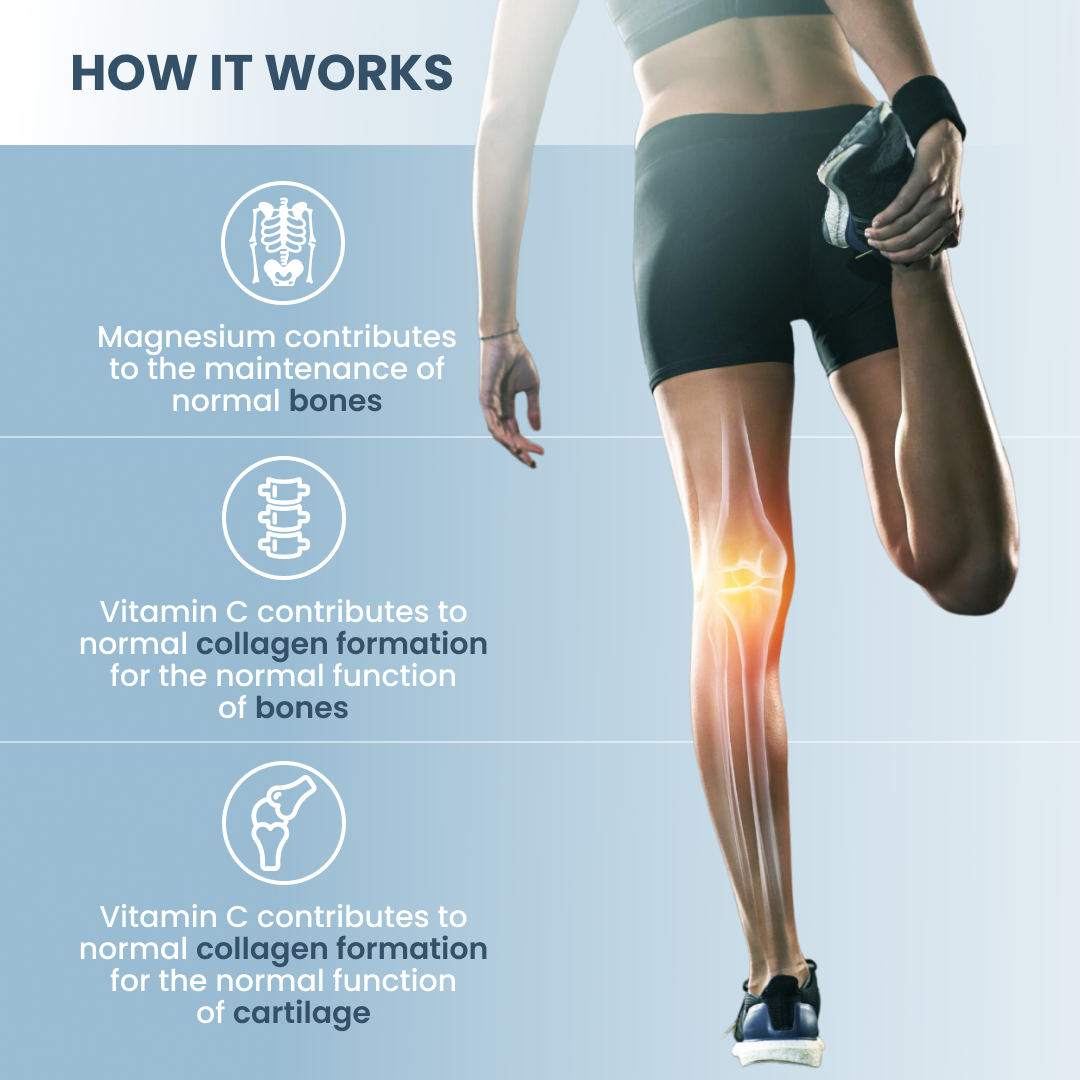 plantoCAPS MOBILEX PLUS Capsules 60 pcs - How It Works