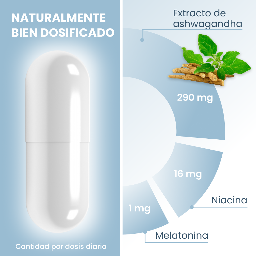 plantoCAPS NIOSAN Capsules 60 pcs - Ingredients