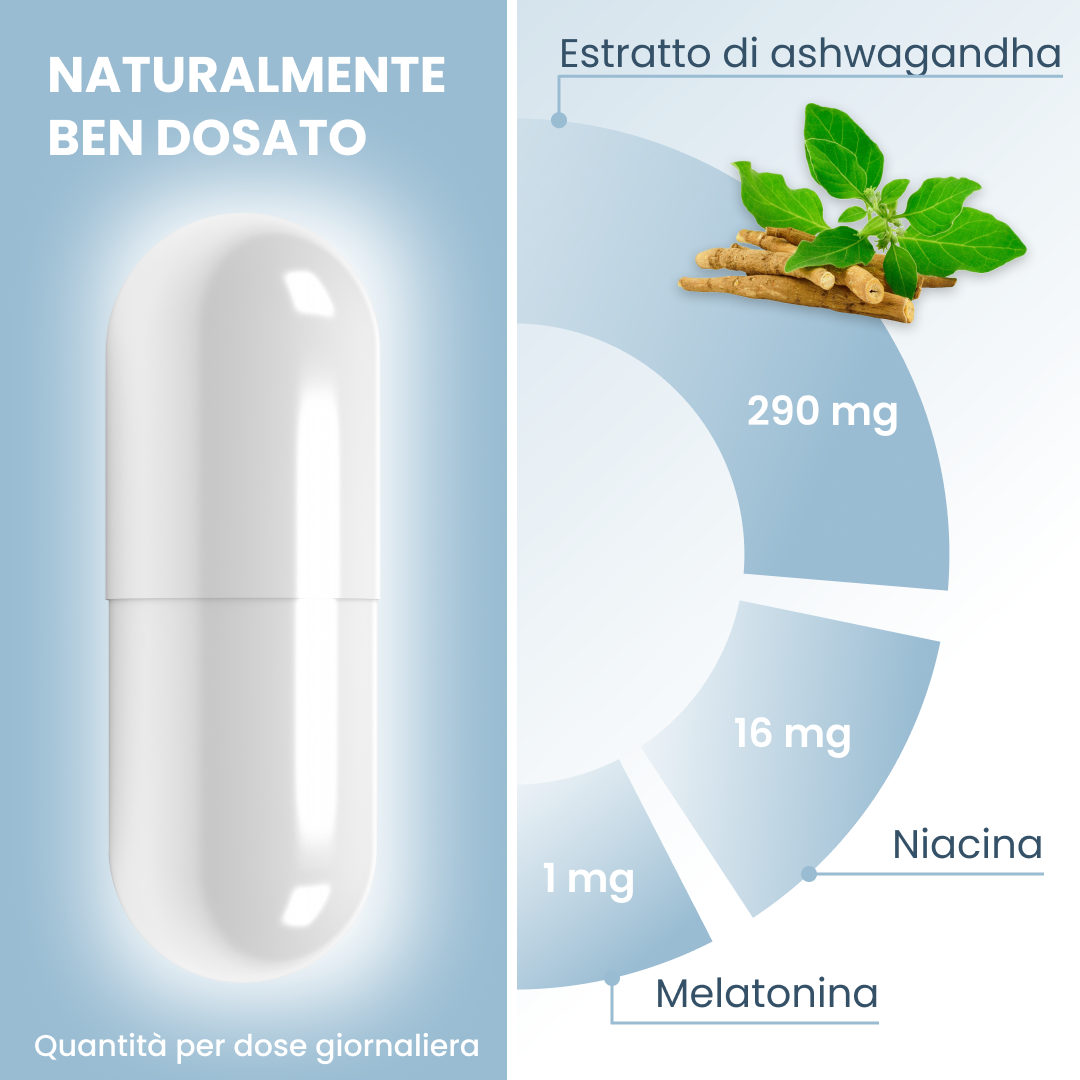 plantoCAPS NIOSAN Capsules 60 pcs - Ingredients