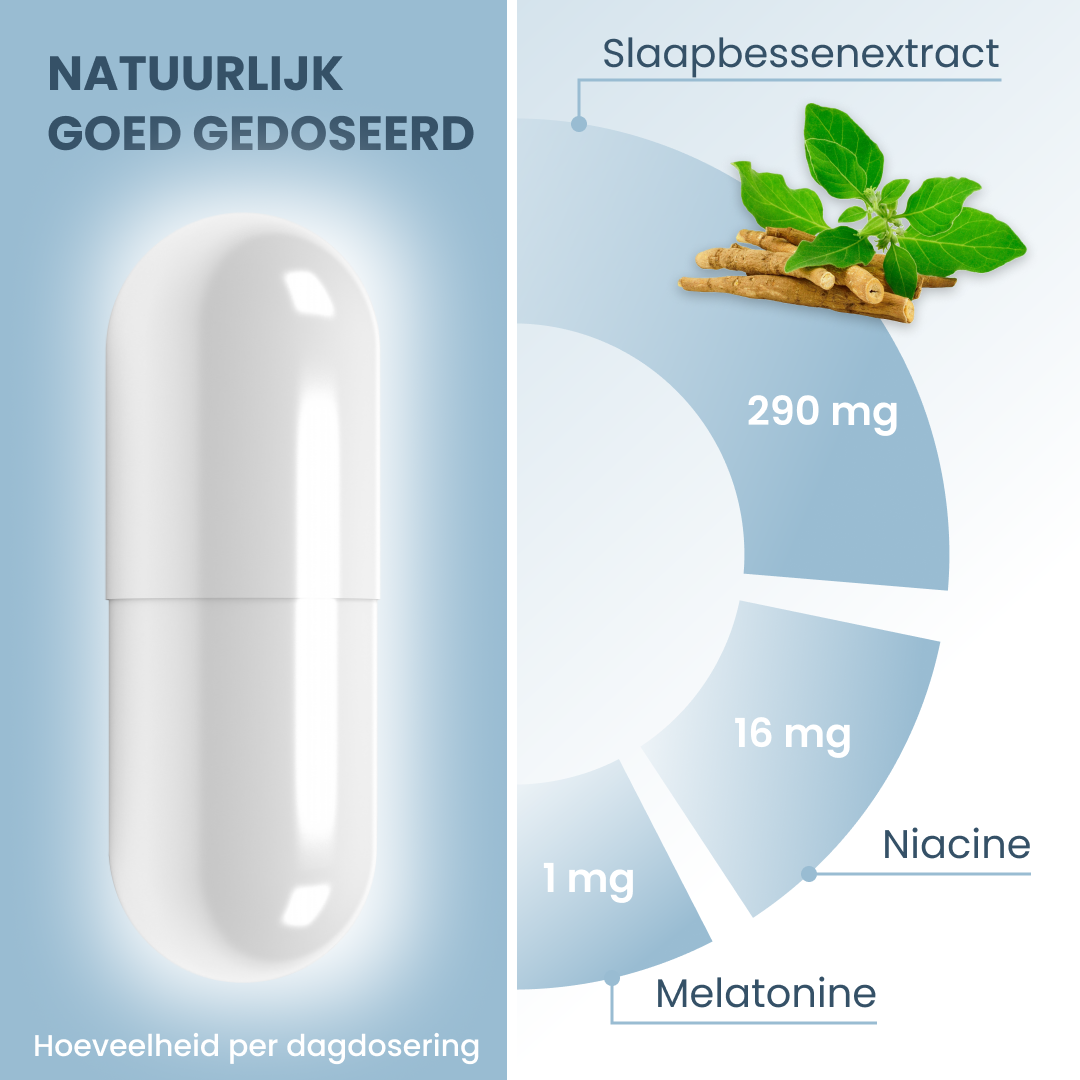 plantoCAPS NIOSAN Capsules 60 pcs - Ingredients