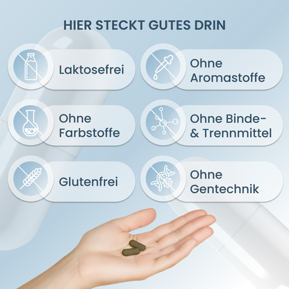 PHYTOFERRIN +C | EISEN Kapseln