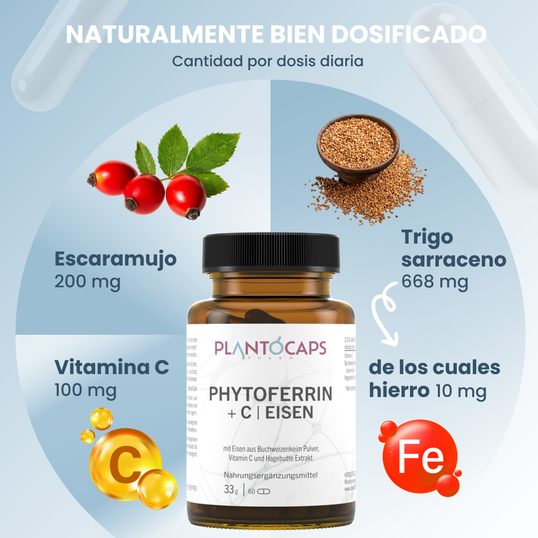 plantoCAPS PHYTOFERRIN +C EISEN Capsules 60 pcs - Ingredients