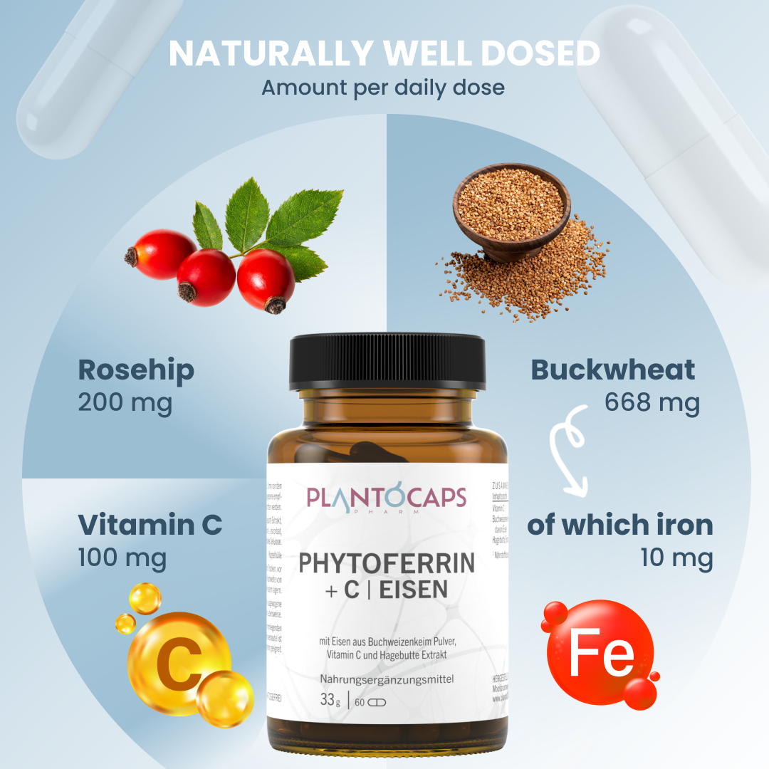 plantoCAPS PHYTOFERRIN +C EISEN Capsules 60 pcs - Ingredients