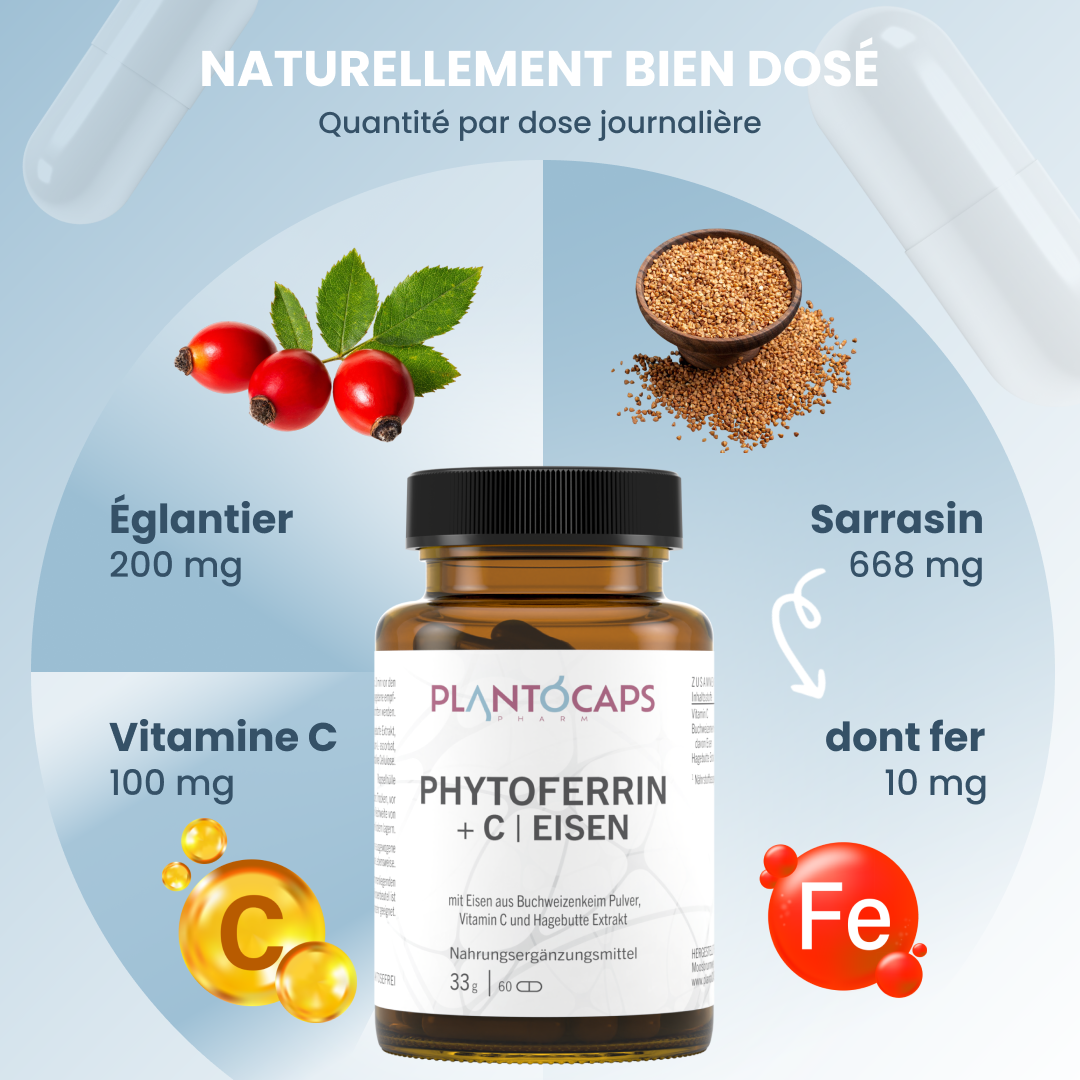 plantoCAPS PHYTOFERRIN +C EISEN Capsules 60 pcs - Ingredients
