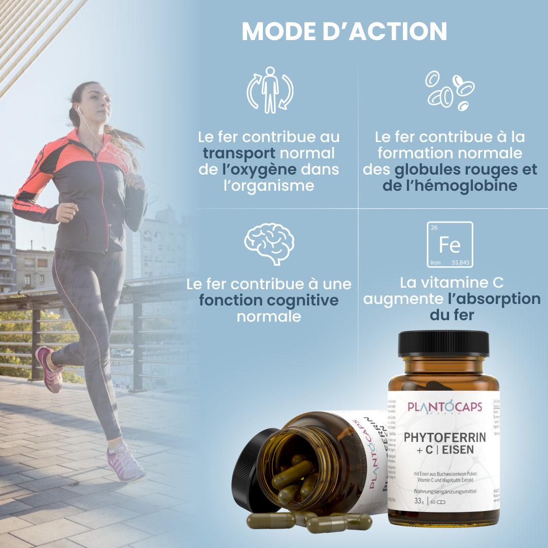 plantoCAPS PHYTOFERRIN +C EISEN Capsules 60 pcs - How It Works