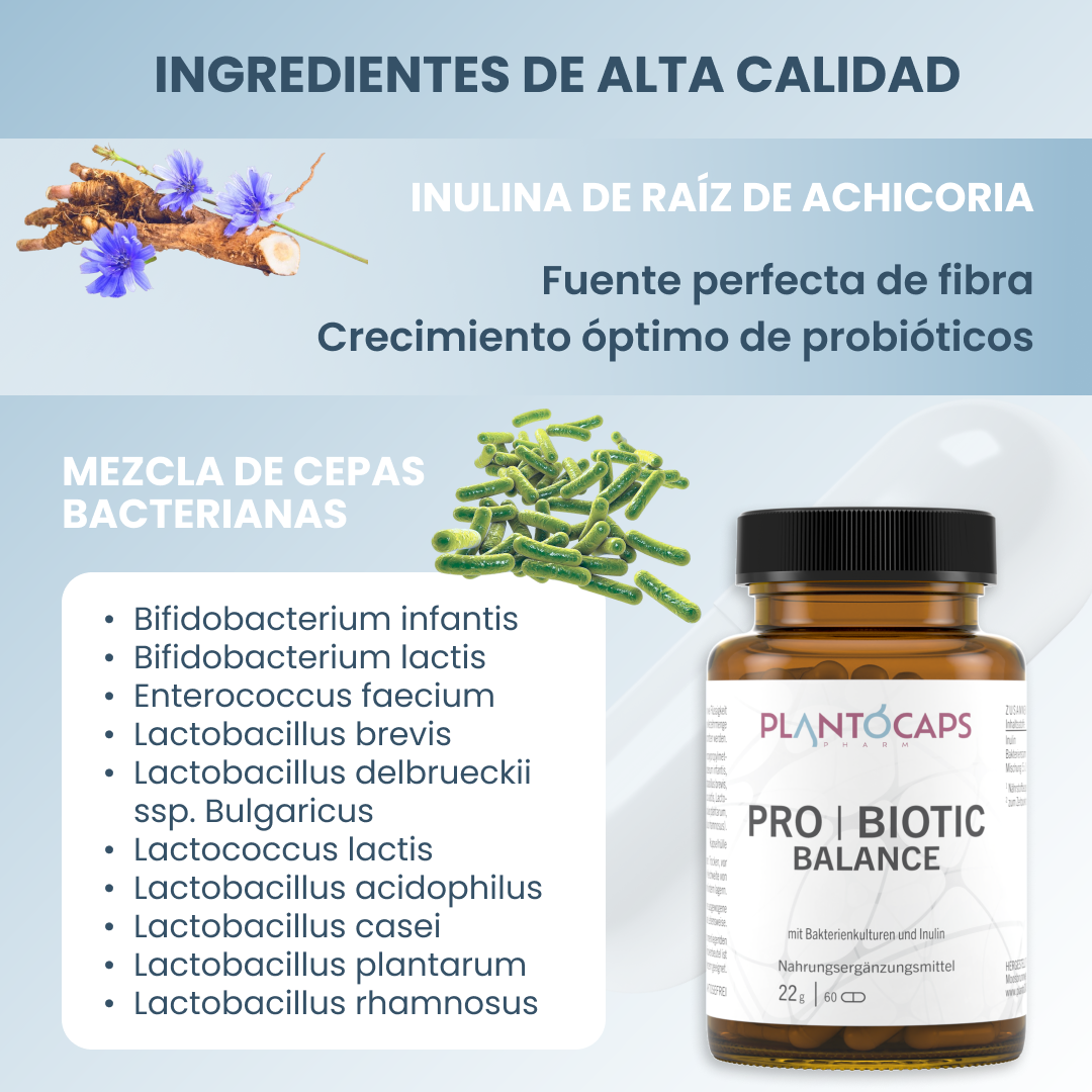 plantoCAPS PRO BIOTIC BALANCE Capsules 60 pcs - Ingredients