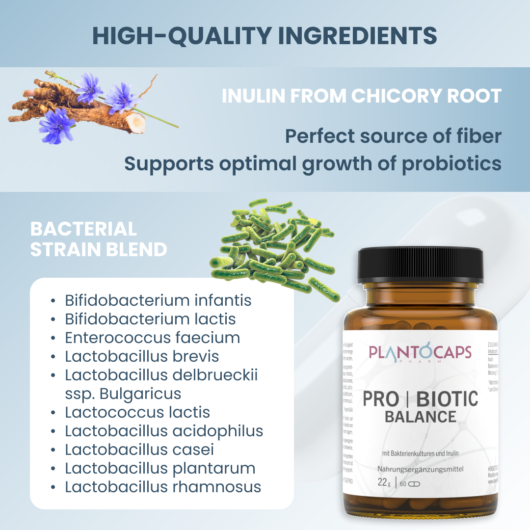 plantoCAPS PRO BIOTIC BALANCE Capsules 60 pcs - Ingredients
