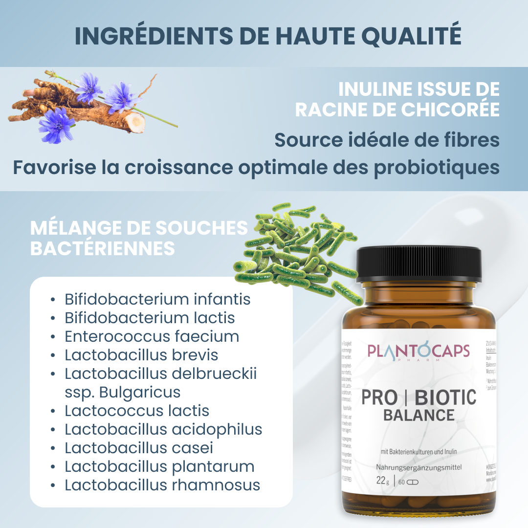plantoCAPS PRO BIOTIC BALANCE Capsules 60 pcs - Ingredients