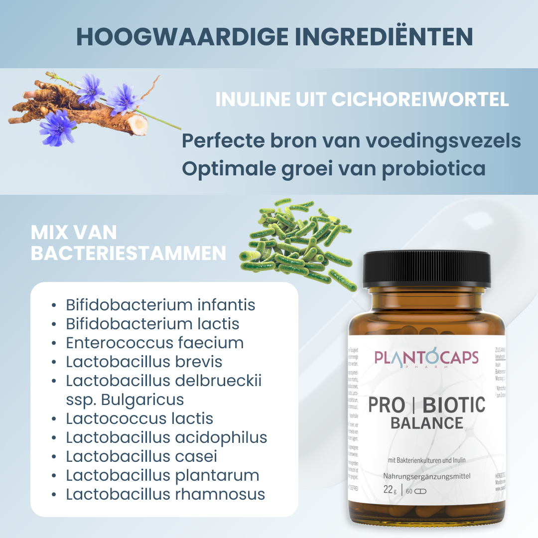 plantoCAPS PRO BIOTIC BALANCE Capsules 60 pcs - Ingredients