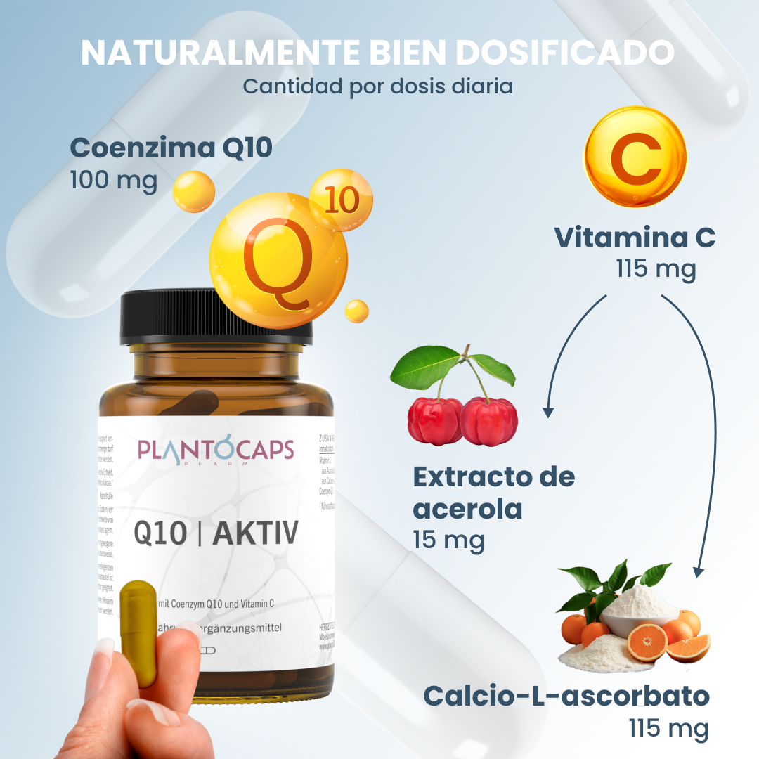 plantoCAPS Q10 AKTIV Capsules 60 pcs - Ingredients