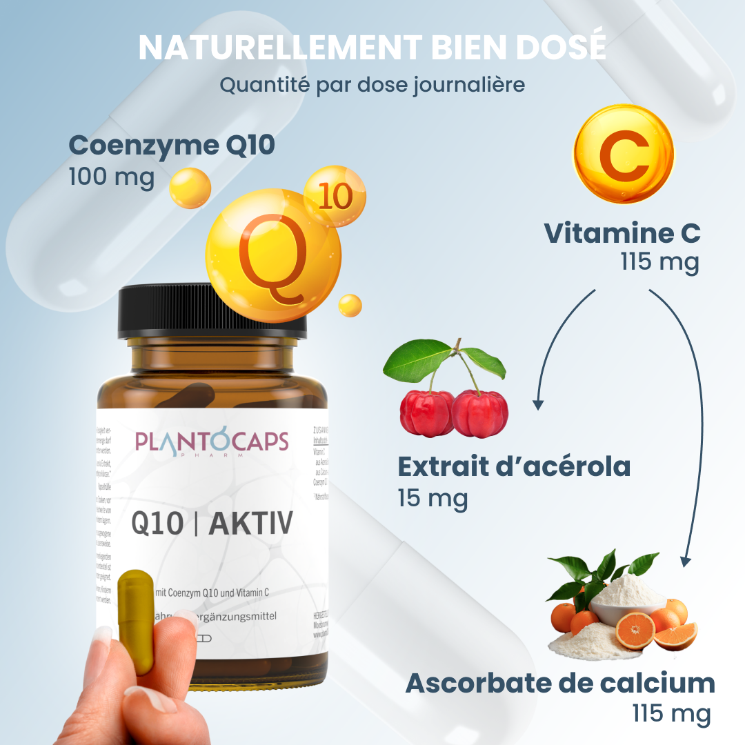 plantoCAPS Q10 AKTIV Capsules 60 pcs - Ingredients