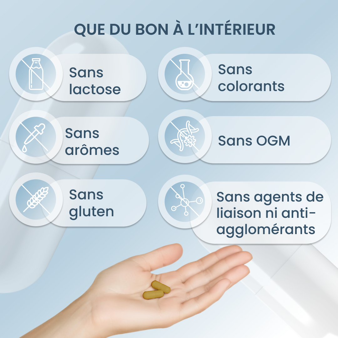 plantoCAPS Q10 AKTIV Capsules 60 pcs - What's Inside