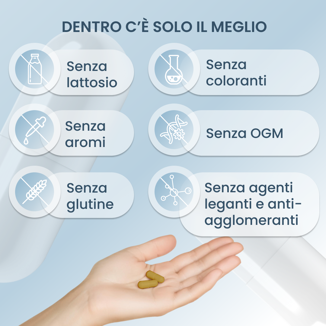 plantoCAPS Q10 AKTIV Capsules 60 pcs - What's Inside