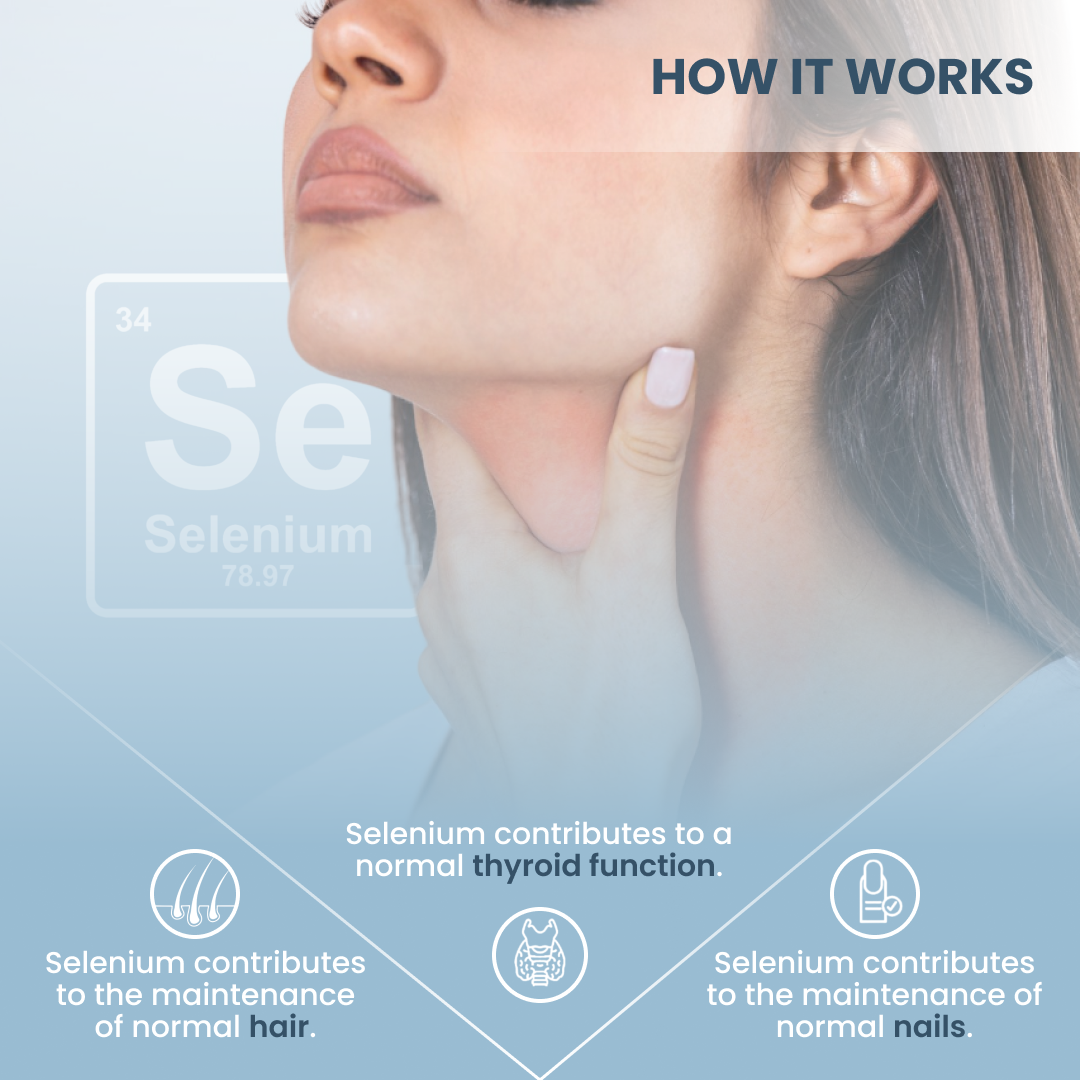 plantoCAPS SELEN PUR Capsules 60 pcs - Ingredients