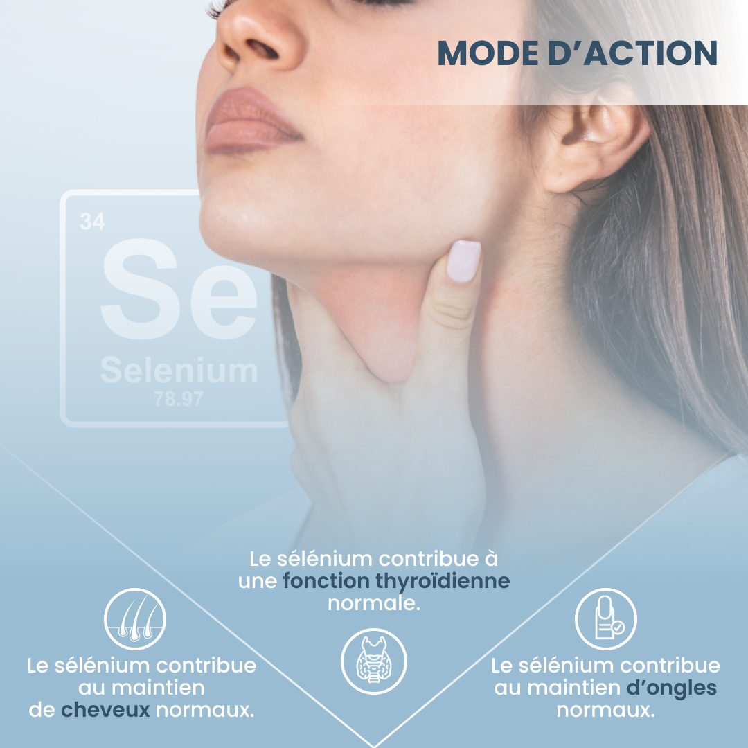 plantoCAPS SELEN PUR Capsules 60 pcs - Ingredients