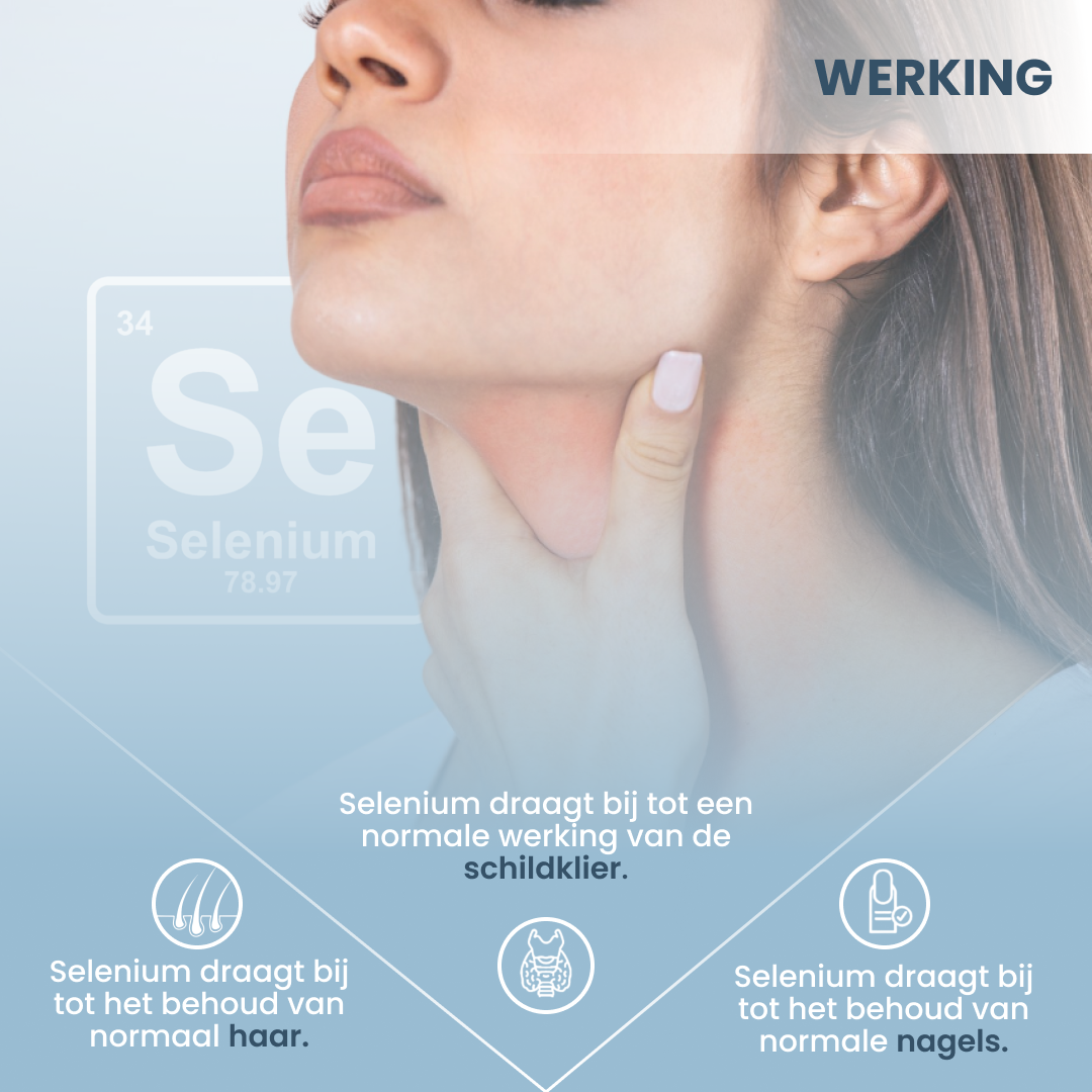 plantoCAPS SELEN PUR Capsules 60 pcs - Ingredients