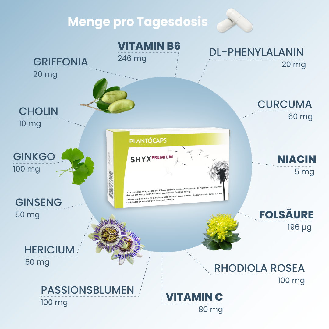 Produktabbildung plantoCAPS shyX Premium 60 Kapseln 1080x1080 creative_Inhaltsstoffe