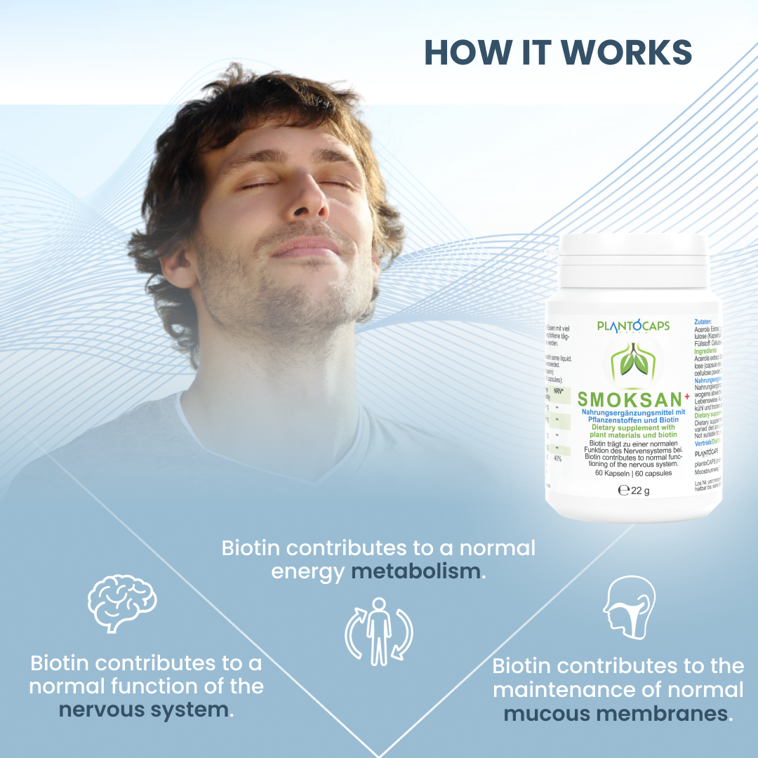 plantoCAPS SMOKSAN+ Capsules 60 pcs - How it works